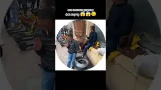 вот еë фанаты 