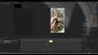 How to do Scale Rotation in AE 