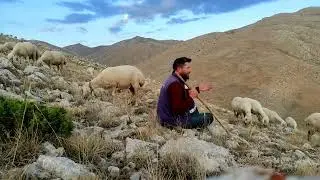 YAR DİYEREK ( Adını Dağlara Yazdım) TARIK KARA