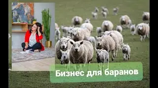Сетевой бизнес, Atomy для Баранов.
