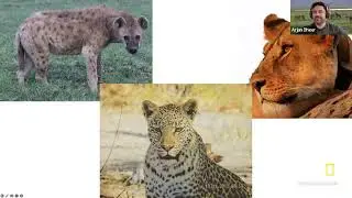 Explorer Classroom | Large Carnivores and Local Communities with Arjun Dheer