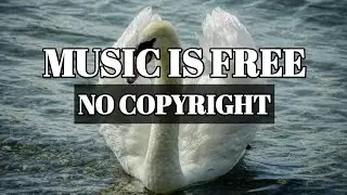 Written in the Genes | Music | Music Is Free | No Copyright Music | Vlog Music