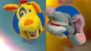 bingopeanut002