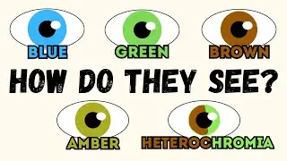 Top 5 Eye Colors and Their Hidden Advantages Explained in 6 minutes