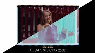 REAL Film emulation - 🔌 No plugins