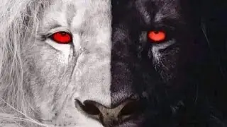 Теневые Аспекты.