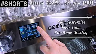 (248) How to set Pre-Brew on Bezzera Arcadia Coffee Machine by Malaysia Barista