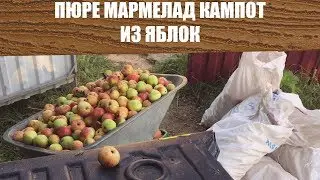 Мармелад из яблок Пюре Компот