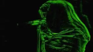 Oceán - V mlze (Haifa mix)