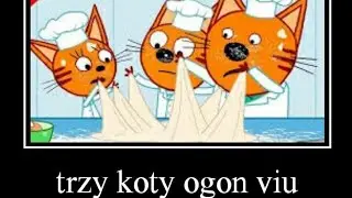 Три кота на польском