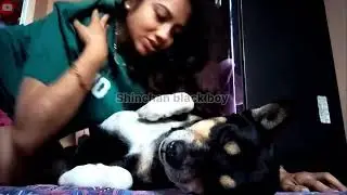 Starting Morning Kisses and Fun with My Dog Shinchan 😘🐶 | Cute Funny Moments 😂