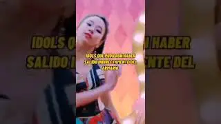 Idols Que Pudieron Haber Salido Indirectamente Del Armario
