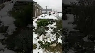 Защита растений в зимний период: правильный выбор материалов и оптимальное время укрытия