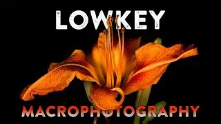 MACROFOTOGRAFIA LOW KEY
