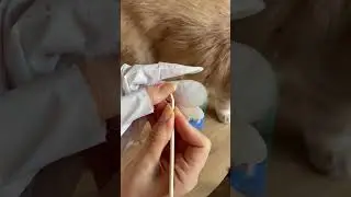 Gratis Beauty randevuna daha çok vardır ve evde canın sıkılmıştır 🙈💜