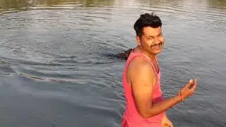 Labrador swimming