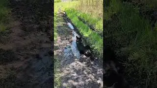 Ура!В Сибирь лето пришел!!!🙂🙃