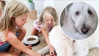 BABY SISTER FEEDS PUPPY FOR THE FIRST TIME!