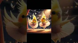 Tiel is dancing ballet #birds #cute #parrot #funny #shorts #cockatielsing #pets