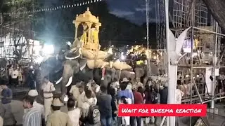 🐘✨ “Majestic steps of tradition – Dasara elephants leading Mysuru’s royal glory!” #mysurudasara2025 