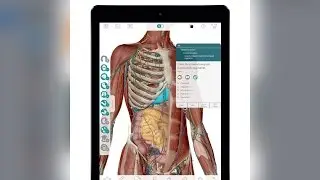 Essential Anatomy 5 By 3D4Medical.com for both iPhone and iPad