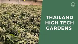 Thailand High Tech Gardens