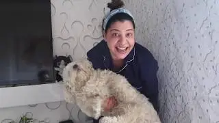 Three Dogs Bath Challenge | 21 days Lockdown | Ss vlogs :-)