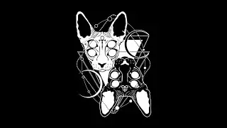 Sphynx | Demo against Android 11