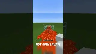 THE TURTLE EGG IS INVINCIBLE