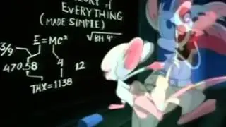 Pinky and the Brain Short Intro 2 in Hungarian (High Quality!)