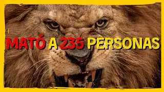 ⚡ DATOS INCREÍBLES sobre LEONES 🦁 | Documental ANIMALES SALVAJES