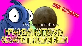 ПРИМАНКА ДЛЯ МЕГА КЛЁВА! Cупер уловистая пышка на карася! и карпа