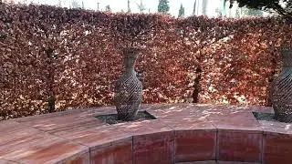 Зимний парк
