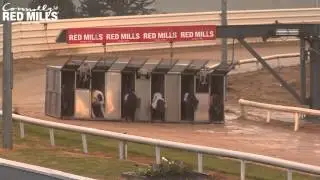 26th Connolly's RED MILLS Champion Unraced Stake - R1