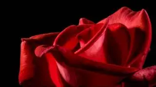 The Last Rose of Summer - Traditional Irish Song