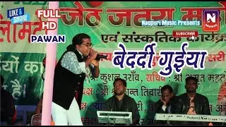 Singer Pawan Roy ll Bedardi Guiya ll Arkestra Video Full HD ll बेदर्दी गुइया