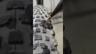 I did not expect this to come out of my tire... #mtb #bike #mountainbike