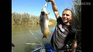Fishing in Astrakhan🐟Catching locusts🦗Carp rigging