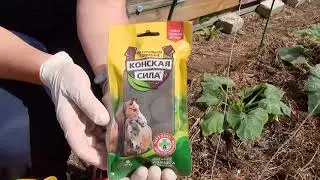 Конская сила - органоминеральное удобрение.