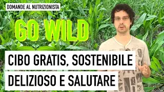 Go Wild: Free, Sustainable, Delicious, and Healthy Food