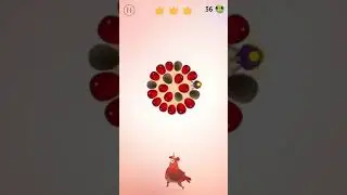 Pigeon Pop - Chic Eat Watermelon - Gameplay