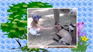 Экопарк лето 2017