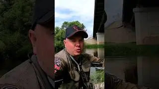 Жерех с первого заброса