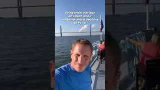 Taking a boat under the Ravenel Bridge in Charleston, SC. A container ship and dolphins go past us!