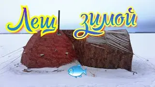 Ловля леща зимой