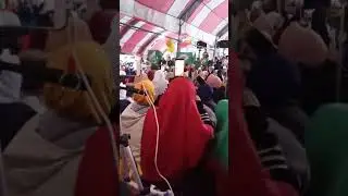 habib syech live taiwan