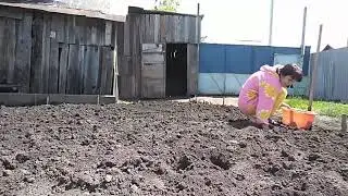 Если в руках тазик-это не значит, что будет баня😂😂😂😂😂