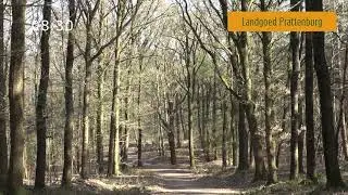 Sfeerbeelden Residence Rhenen, Landgoed Prattenburg, Kwintelooijen en omgeving.