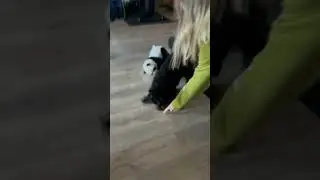 Sock thief!😅😄😄❤️