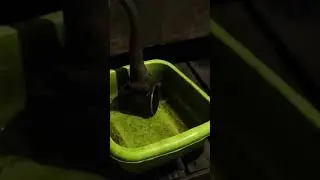 Вахта, банька, все дела!🤣